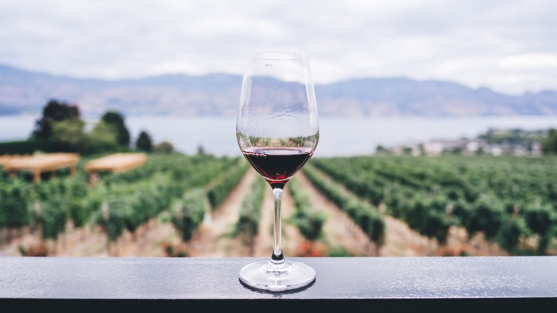 Lær om de bedste druesorter til din rødvinsindkøb: Cabernet Sauvignon, Merlot, Syrah og Pinot Noir